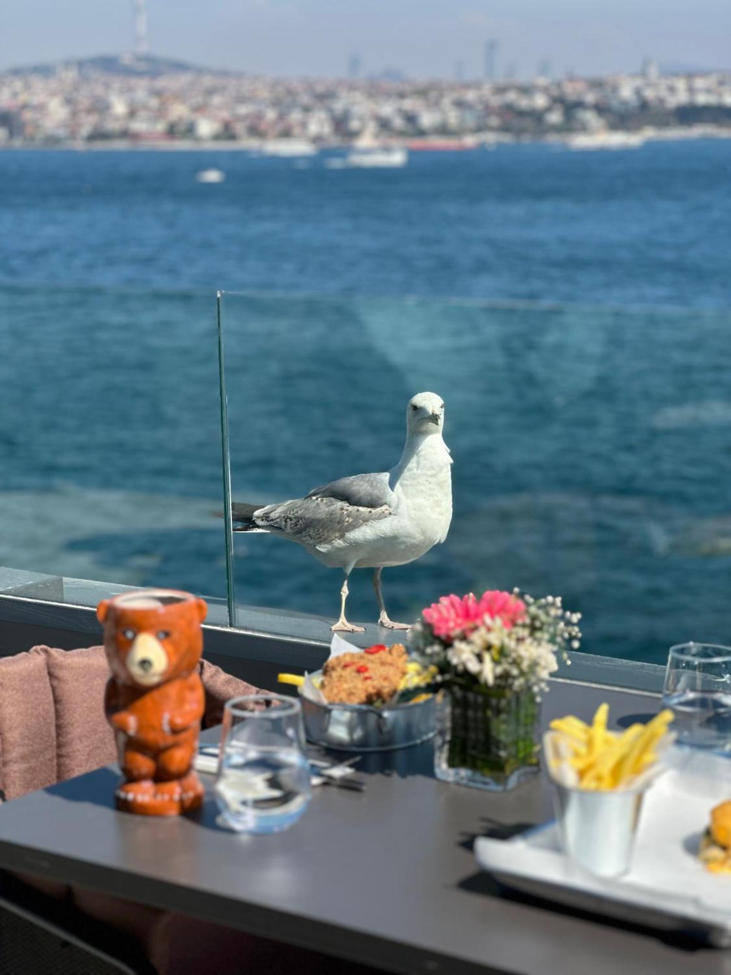 Pera Bosphorus Hotel Stambuł Zewnętrze zdjęcie